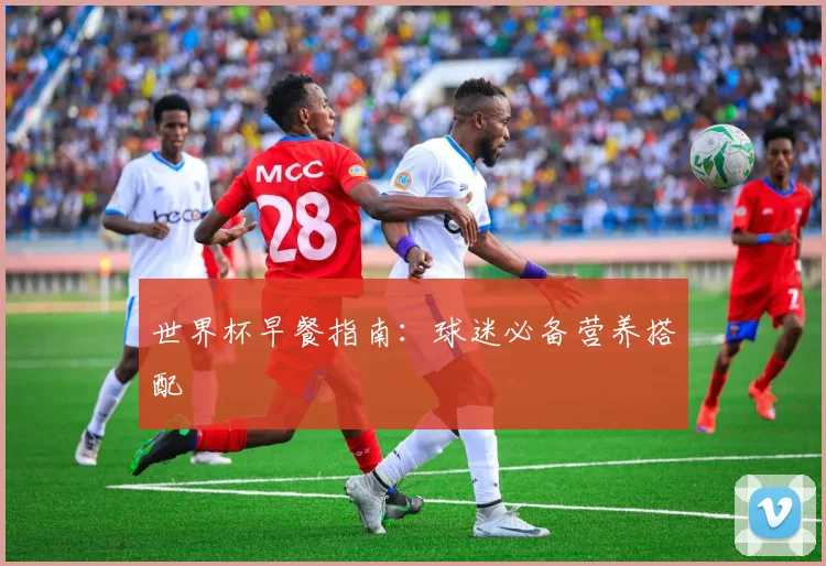 世界杯早餐指南：球迷必备营养搭配