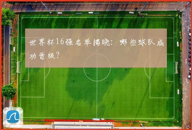 世界杯16强名单揭晓：哪些球队成功晋级？